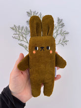 Load image into Gallery viewer, Cactus the bunny

