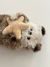 Load image into Gallery viewer, Rocky Road the Sea otter with a starfish
