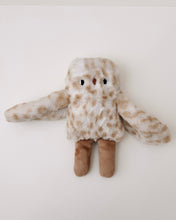 Load image into Gallery viewer, Pecan the spotted owl - SALE
