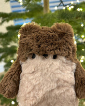 Load image into Gallery viewer, Oliver the river otter
