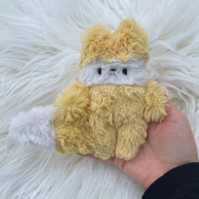 Buttercup the little fox