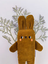Load image into Gallery viewer, Cactus the bunny

