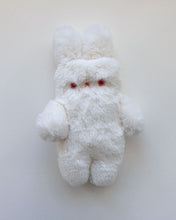 Load image into Gallery viewer, Snowberry the white albino bunny
