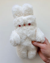 Load image into Gallery viewer, Snowberry the white albino bunny
