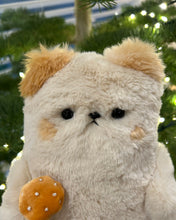 Load image into Gallery viewer, Toadstool the blushing bear
