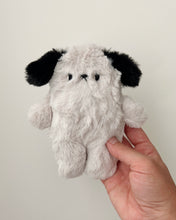Load image into Gallery viewer, Grey pup with black ears - ON SALE
