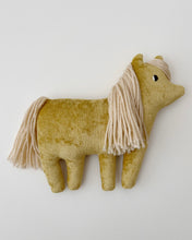 Load image into Gallery viewer, Lemongrass pony - SALE
