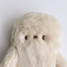 Load image into Gallery viewer, Biscuit the seal
