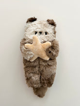 Load image into Gallery viewer, Rocky Road the Sea otter with a starfish

