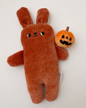 Load image into Gallery viewer, Penny the bunny
