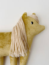 Load image into Gallery viewer, Lemongrass pony - SALE
