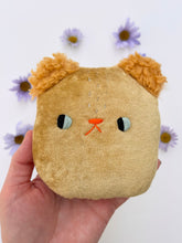 Load image into Gallery viewer, Mustard Seed bear head - mini pillow

