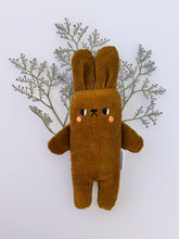 Load image into Gallery viewer, Cactus the bunny
