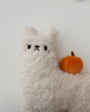 Load image into Gallery viewer, Sugar pumpkin the alpaca
