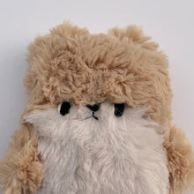 Load image into Gallery viewer, Biscotti the otter
