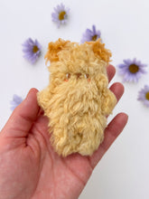 Load image into Gallery viewer, Sundrop the little bear
