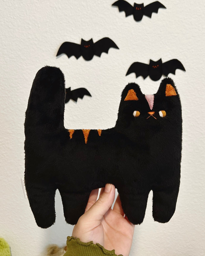 Spook the Halloween cat