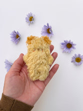 Load image into Gallery viewer, Sundrop the little bear
