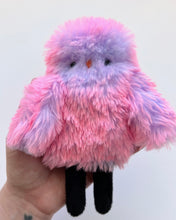 Load image into Gallery viewer, Neon pink lavender parakeet
