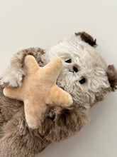 Load image into Gallery viewer, Rocky Road the Sea otter with a starfish

