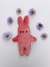 Load image into Gallery viewer, Cotton candy the bunny
