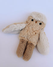 Load image into Gallery viewer, Almond Owl - On Sale
