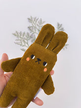 Load image into Gallery viewer, Cactus the bunny

