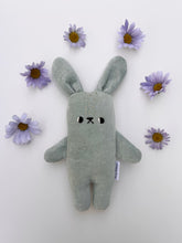Load image into Gallery viewer, Ocean the bunny
