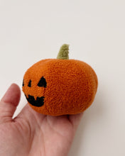 Load image into Gallery viewer, Little pumpkin
