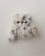 Load image into Gallery viewer, Spotted snow owlet - ON SALE
