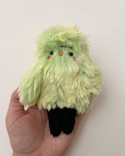 Load image into Gallery viewer, Pierre the blushing franken-parakeet
