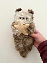 Load image into Gallery viewer, Rocky Road the Sea otter with a starfish
