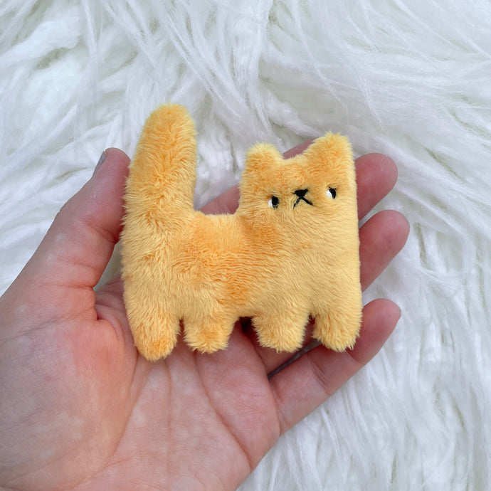 Mango tiny cat