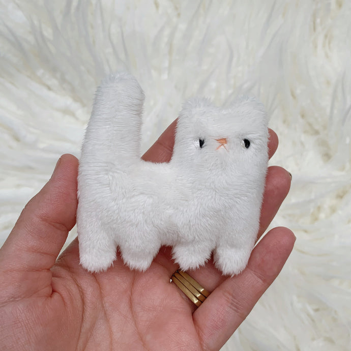 Ivory tiny cat with pink nose cat
