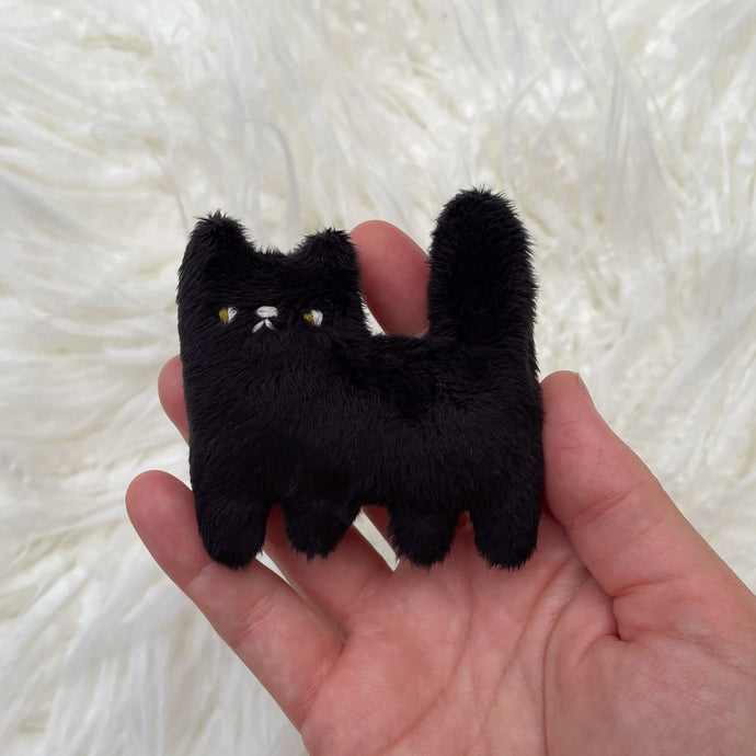Midnight the black tiny cat