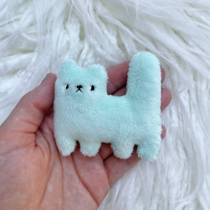 Minty tiny cat
