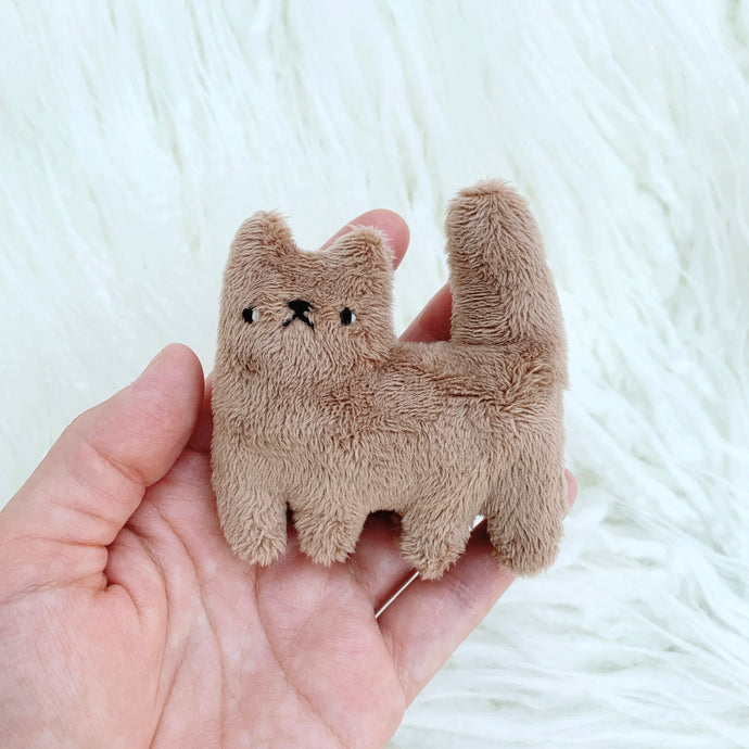 Chocolate tiny cat