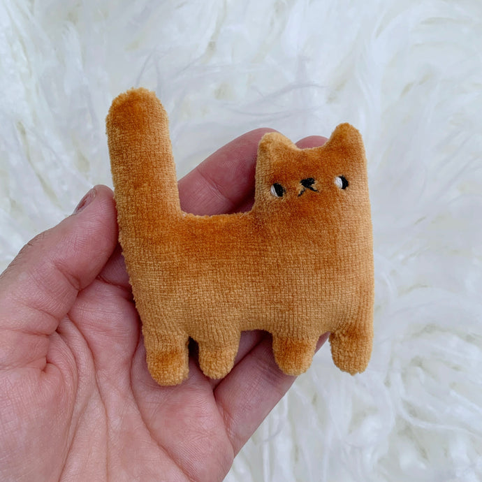 Persimmon tiny cat