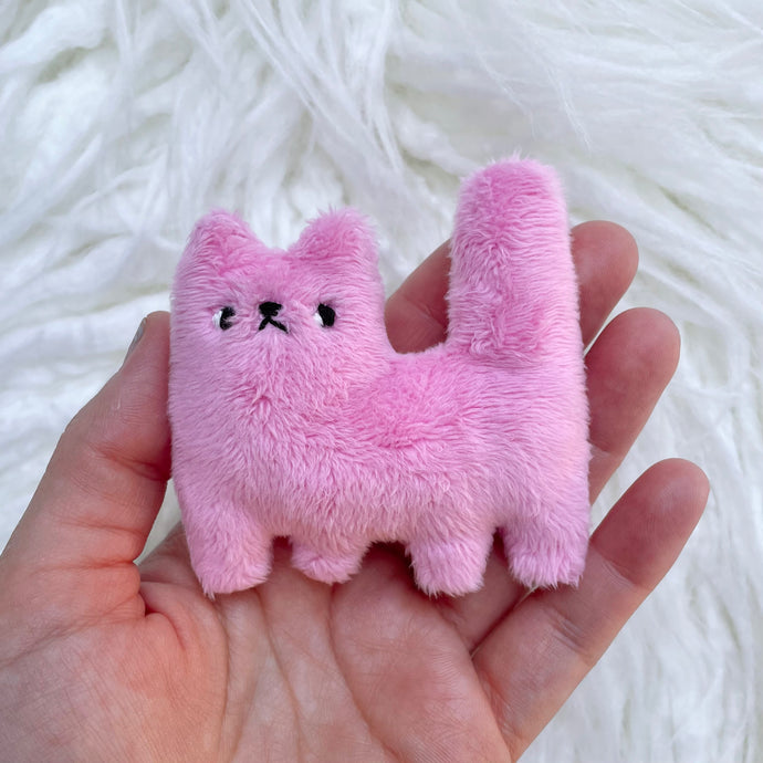 Bubblegum tiny cat