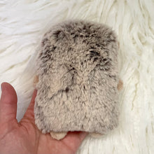 Load image into Gallery viewer, Walnut the Hedgehog - weighted
