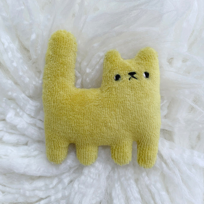 Lemon tiny cat