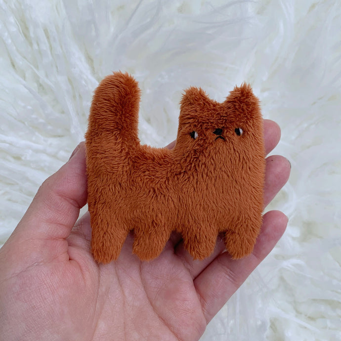 Penny tiny cat