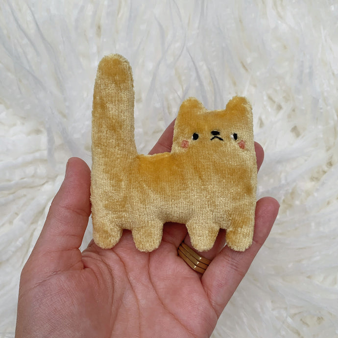 Golden Shimmer tiny cat