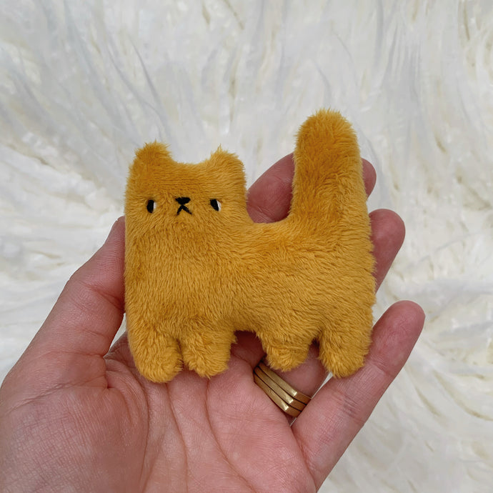 Golden Daisy tiny cat