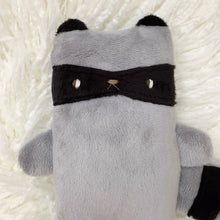 Load image into Gallery viewer, Reggie the Raccoon

