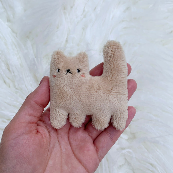 Blushing sandy tiny cat