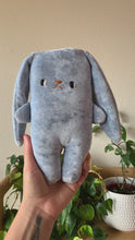 Load and play video in Gallery viewer, Cloud Bunny -organic velvet big bunny

