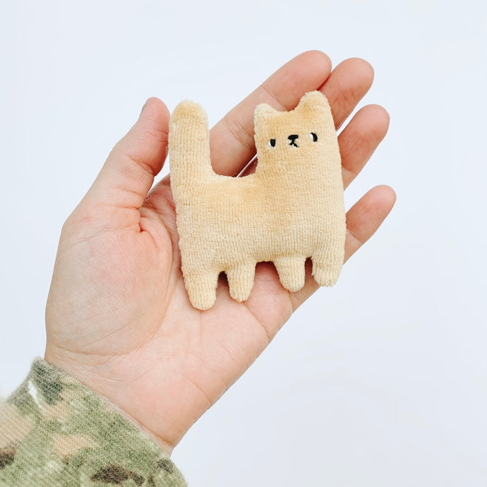 Creamsicle tiny cat