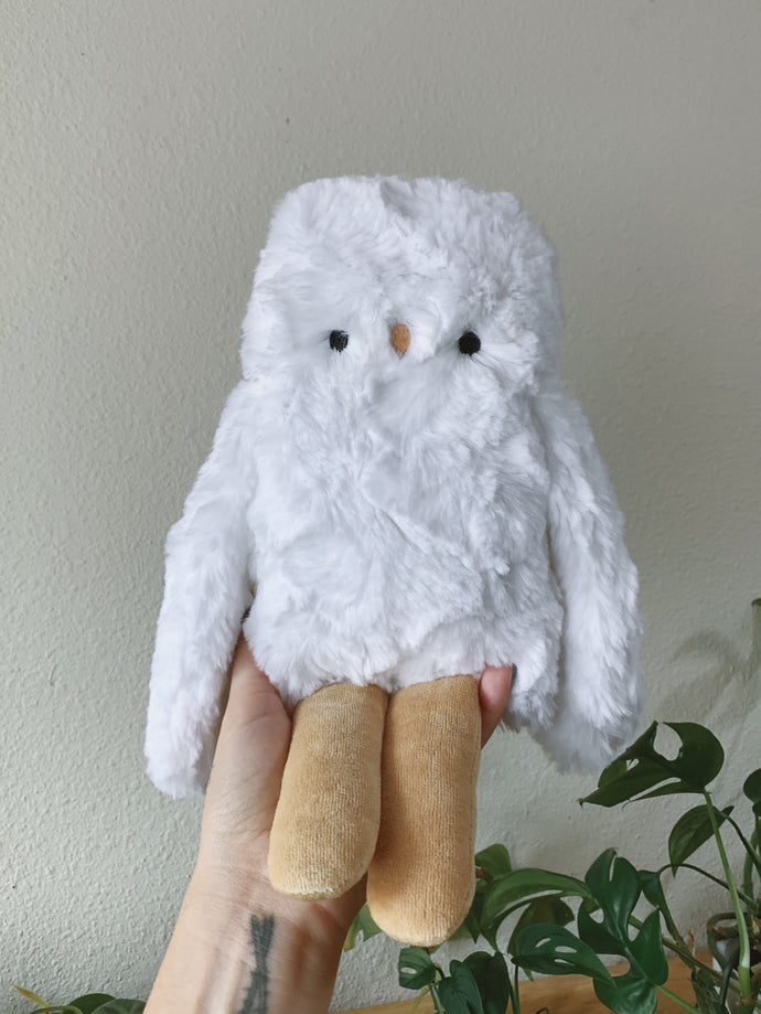 Coconut the big owl