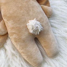 Load image into Gallery viewer, Strawberry Shortcake Bunny -organic velvet big bunny
